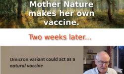 Scientists copy Memes. Omicron named Natural Vaccine.